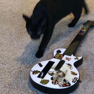 卡一卡二卡三乱码入口
