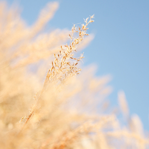 卡一卡二卡三乱码入口
