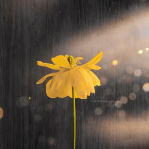 卡一卡二卡三乱码入口
